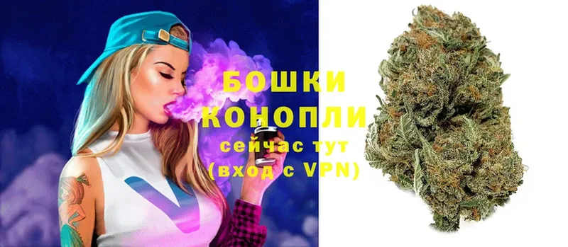 Бошки марихуана White Widow  Вяземский 